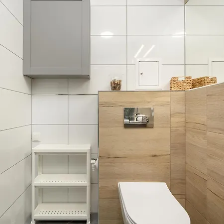 Cosy Studio With The Parking & River View By Renters ヴロツワフ